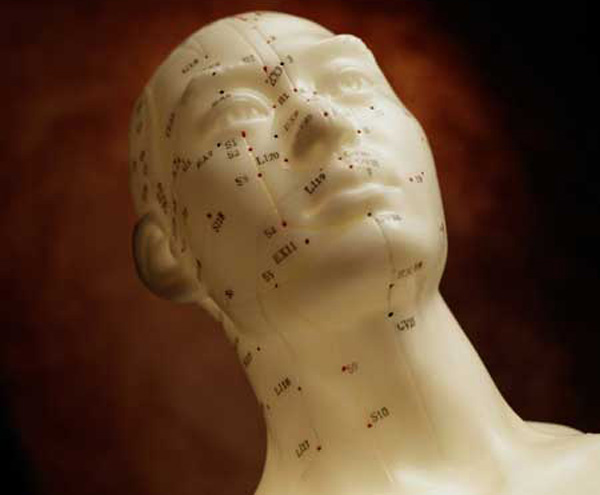 高清晰人体头部模型图片